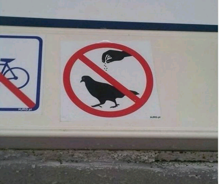 Прекратите солить голубей! НЕЛЬЗЯ, запреты, знаки, прикол, странности, табу, юмор